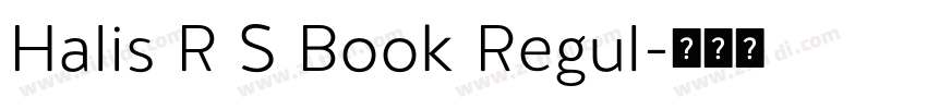 Halis R S Book Regul字体转换